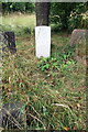 SO9975 : Lickey Cemetery Extension the grave of Flight-Sgt H S Cutler by Roy Hughes