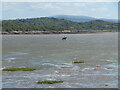 Auchencairn Bay at low tide