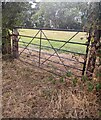 Churchyard exit gate, Trostrey, Monmouthshire