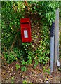 Mounted Elizabeth II postbox, Grafton Lane, Bromsgrove, Worcs