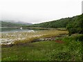 NM6456 : Shore, Loch Teacuis by Richard Webb