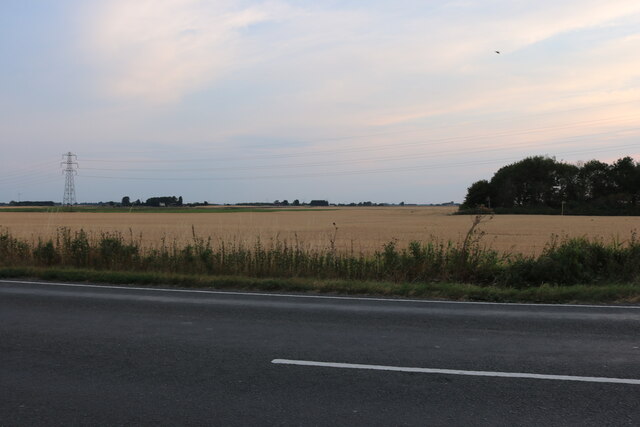Field by Wisbech Road, Westry