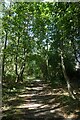 Path beside Osbaldwick Beck