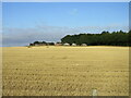 Stubble field at Leightonhill