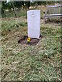 SO9975 : The grave of  Aircraftman S R Baker in Lickey Cemetery 25th July 2022 by Roy Hughes