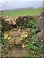 SP1115 : Stone Stile, Northleach by Malcolm Christie