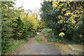 Barrier, Rusthall Park