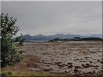 NM9246 : A view across Loch Laich at low tide by habiloid
