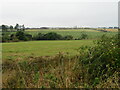 Fields at Hopestead