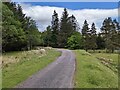 NN3391 : The road and woodland near Brae Roy Lodge by David Medcalf