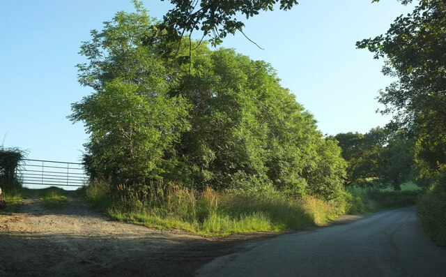 birchwood-lane-derek-harper-cc-by-sa-2-0-geograph-britain-and-ireland