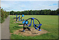 Outdoor Gym in the Park