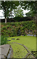 The pool above the cascade, Beaumont Park, Huddersfield