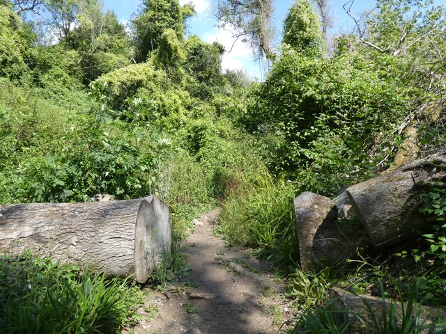 Path Cleared Roger Cornfoot Geograph Britain And Ireland