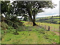 Llwybr Cae Gwyn / Cae Gwyn path