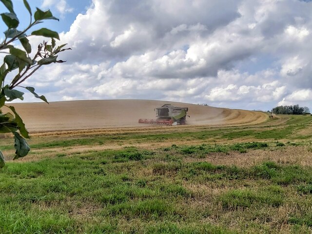 Harvesting Barley in Billinge
