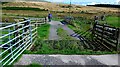 Unusual diamond pattern cattle grid at Kinnelhead