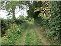 Footpath to Nurton Court