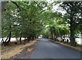 School Road, Kelvedon Hatch