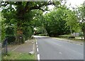 TL6403 : Highwood Road, Loves Green by JThomas