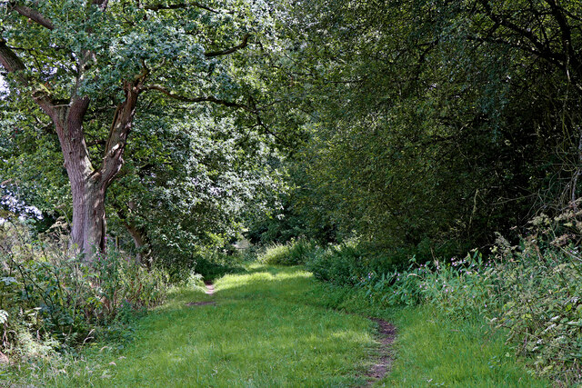 Bridleway to The Bradshaws on Wrottesley... © Roger D Kidd :: Geograph ...