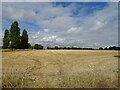 TL6909 : Stubble field off School Lane by JThomas