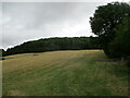 SO6563 : Grass field near Thorn Farm by Jonathan Thacker