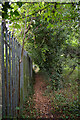 Path running parallel to the railway, Knaresborough