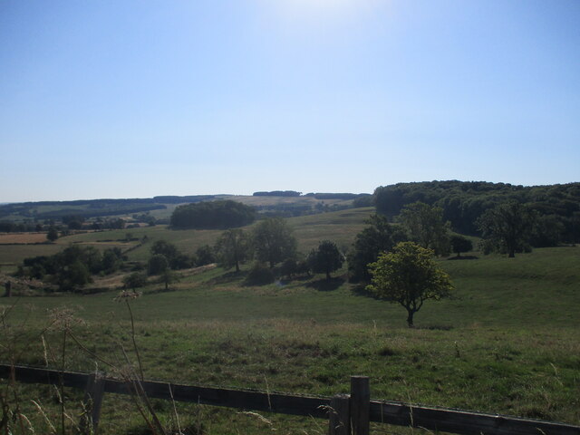Swinham  Wood  to  the  right.  Jubilee  Plantation  centre