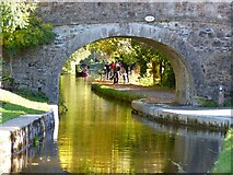 SJ2142 : Pen-y-ddol bridge (number 46W) on the Llangollen Canal, Llangollen by Ruth Sharville