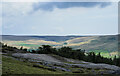 NY9802 : Mine spoil and trees above Arkengarthdale by Trevor Littlewood