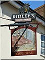 Sign for the Boars Head, Braintree