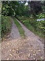 This way for Greenways, Penallt