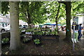 Plant Stall, Kirkcudbright