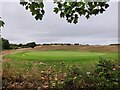 Hole 5 at Hollingbury Park Golf Course