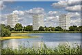 Woodberry Down Wetlands, London