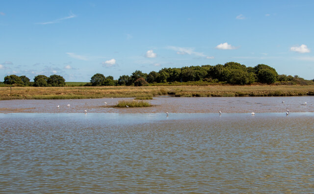 Looking to Snape Warren from the River Alde