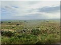 Heathland east  of the top of Ballyveaghbeg Road