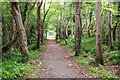 Avoch to Fortrose Railway path