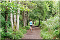 A runner on the Avoch to Fortrose Path