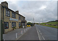 SE0616 : Dog O Mighty, New Hey Road (A640), Pole Moor by habiloid