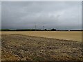 Stubble field off Ockendon Road