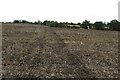 Footpath to Kingswoodbury Farm