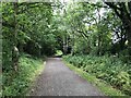 Deerness Valley Railway Path near Broompark