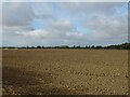 Field off Church Lane