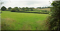 Fields near Zempson Bridge