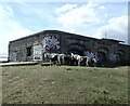 TQ6974 : Horses at Shornmead Fort by Marathon