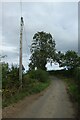 NZ1621 : Telegraph pole along the road to Hilton by DS Pugh