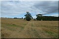 NZ1622 : Farmland near Hilton Grange by DS Pugh