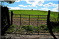 Gate and shadow, Tattymulmona